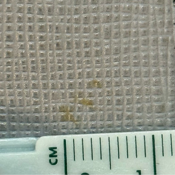 Fendi Flowerland Continental Wallet Rare - Picture 15 of 15